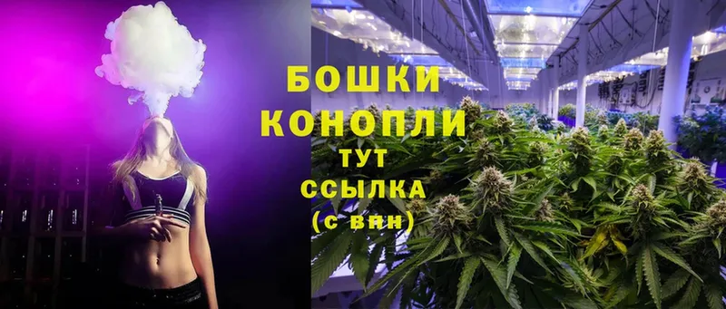 Шишки марихуана Ganja  что такое   Ирбит 